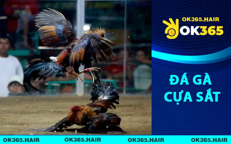 Đá Gà Cựa Sắt