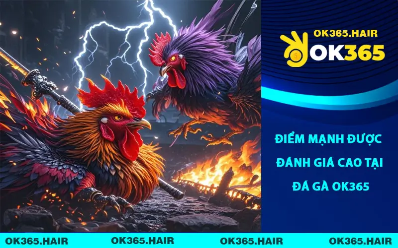 Điểm mạnh được đánh giá cao tại đá gà OK365