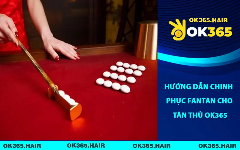 Hướng dẫn chinh phục Fantan cho tân thủ OK365