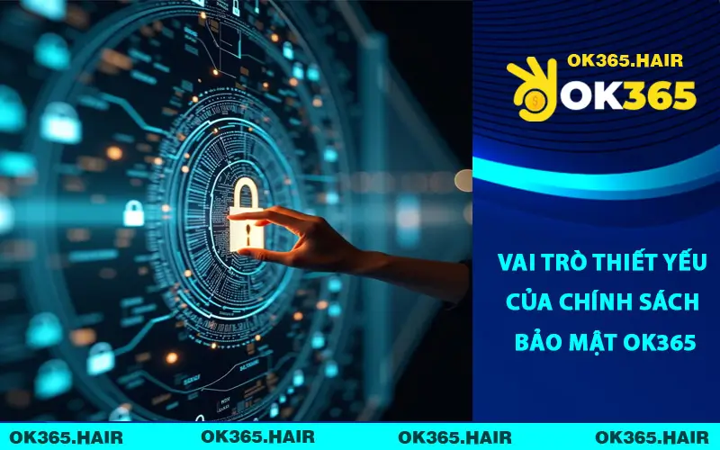 Vai trò thiết yếu của Chính Sách Bảo Mật OK365